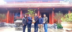 Khu di tích Kim Liên trao tặng cây râm bụt cho Khu di tích Chủ tịch Hồ Chí Minh tại Phủ Chủ tịch